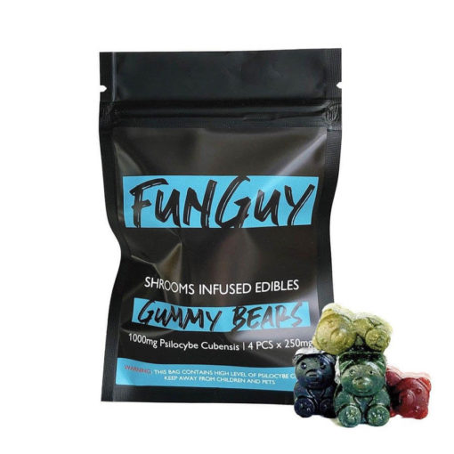 FUNGUY-–-ASSORTED-GUMMY-BEARS-510x510-1